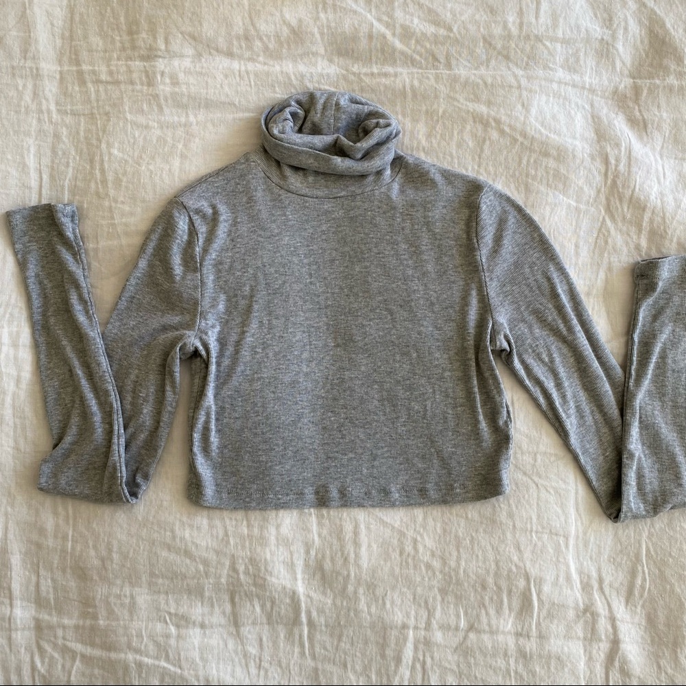 Aritzia Sunday Best Freshman Cropped Turtleneck